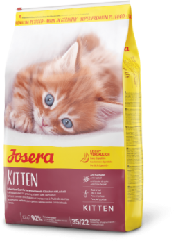 030_kitten.png