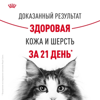 Корм Роял Канин для кошек с чувствительной кожей и проблемной шерстью (Royal Canin Hair & Skin) — изображение 4