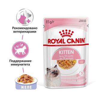1_kitten-jelly_1200x1200_2