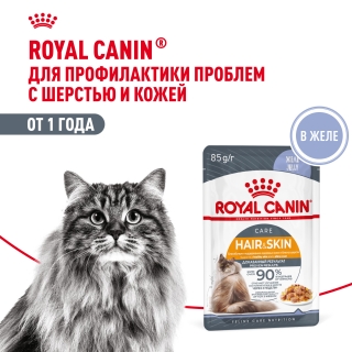 Корм для взрослых кошек для поддержания здоровья кожи и красоты шерсти кусочки в желе (Royal Canin HAIR & SKIN in JELLY), 28*85 гр