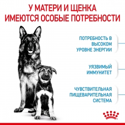 Корм для собак Royal Canin Maxi Starter (для щенков крупных пород до 2 месяцев) Image 2