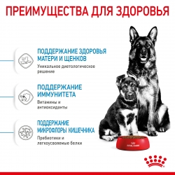 Корм для собак Royal Canin Maxi Starter (для щенков крупных пород до 2 месяцев) Image 3