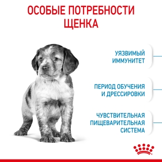 Корм для щенков Royal Canin Medium Puppy (Медиум Юниор для щенков средних пород от 2 до 12 месяцев) Image 3