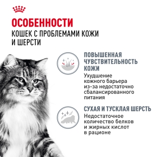 Корм для взрослых кошек для поддержания здоровья кожи и красоты шерсти кусочки в желе (Royal Canin HAIR & SKIN in JELLY), 28*85 гр