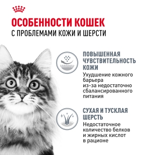 Корм Роял Канин для кошек с чувствительной кожей и проблемной шерстью (Royal Canin Hair & Skin) — изображение 6