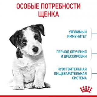 Корм для щенков Royal Canin Mini Puppy (для щенков мелких пород от 2 до 10 месяцев)