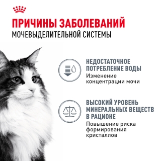 Корм Роял Канин для кошек профилактика мочекаменной болезни (Royal Canin Urinary Care) — изображение 3