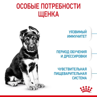 Корм для собак Royal Canin Maxi Puppy (для щенков крупных пород от 2 до 15 месяцев) Image 3