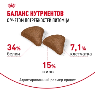 Корм Роял Канин для кошек с выводом шерсти (Royal Canin Hairball Care) — изображение 3