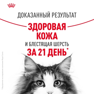 Корм для взрослых кошек для поддержания здоровья кожи и красоты шерсти кусочки в желе (Royal Canin HAIR & SKIN in JELLY), 28*85 гр