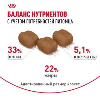 Корм Роял Канин для кошек с чувствительной кожей и проблемной шерстью (Royal Canin Hair & Skin) — изображение 5