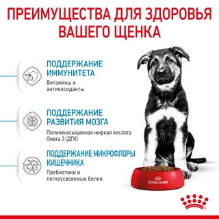 Корм для собак Royal Canin Maxi Puppy (для щенков крупных пород от 2 до 15 месяцев) Image 4