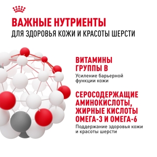 Корм Роял Канин для кошек с чувствительной кожей и проблемной шерстью (Royal Canin Hair & Skin) — изображение 8