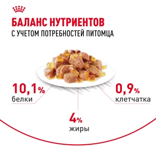 Корм для взрослых кошек для поддержания здоровья кожи и красоты шерсти кусочки в желе (Royal Canin HAIR & SKIN in JELLY), 28*85 гр