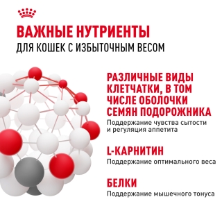 Корм Роял Канин для кошек склонных к полноте (Royal Canin Light Weight Care) — изображение 8