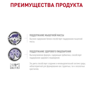 Корм для кошек Royal Canin NEUTERED MAINTANCE FELINE, 12*85 гр — изображение 3