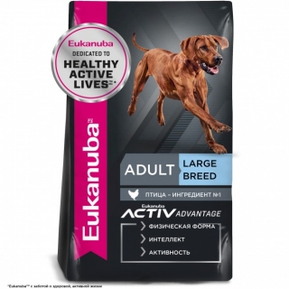 adult_large_breed_chicken_1_20220524150521.jpg