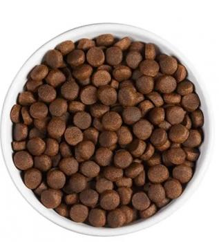 Корм холистик Ambrosia Adult All Breeds беззерновой для собак всех пород - Свежие курица и лосось — изображение 4