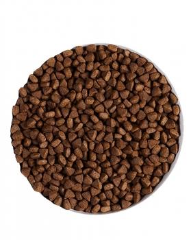 Корм холистик Ambrosia Sterilized Cat беззерновой для стерилизованных кошек - Свежая индейка и сельдь — изображение 4