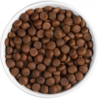 Корм холистик Ambrosia Adult All Breeds беззерновой для собак всех пород - Свежие ягненок и лосось — изображение 4