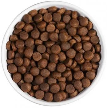 Корм холистик Ambrosia Senior All Breeds беззерновой для пожилых, с ожирением и стерилизованных собак - Свежие индейка и лосось — изображение 4