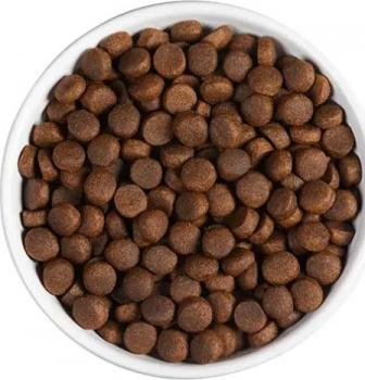Корм холистик Ambrosia Adult All Breeds беззерновой для собак всех пород - Свежие говядина и лосось — изображение 4