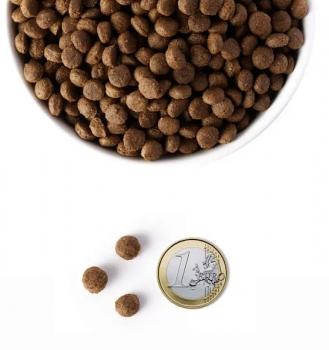 Монопротеиновый корм Ambrosia Adult All Breeds для взрослых собак с чувствительным пищеварением - Свежая утка — изображение 3