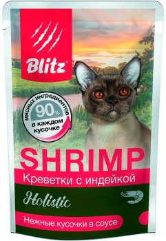 blits1.jpg