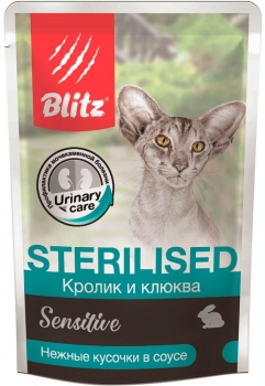 blits2.jpg