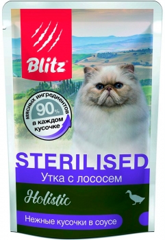 blits3