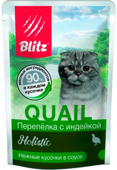 blits71.jpg