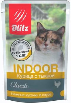 blits7.jpg