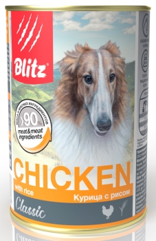 blits9.jpg