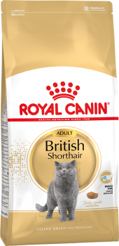 britishshorthairadult.png