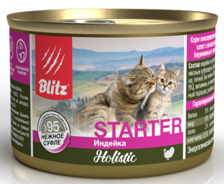 bsw10-1-00200-starter