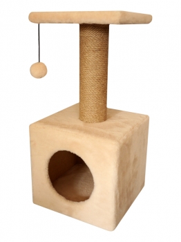 domik-s-polkoj-(dzhut).jpg