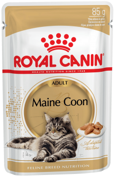 e_maine-coon-wet
