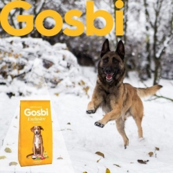 Низкозерновой корм Gosbi Exclusive Junior Lamb & Fish для щенков средних и крупных пород с 4 х-месяцев (Ягненок и рыба) Image 3