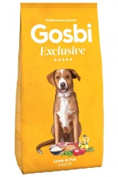 gosbi27