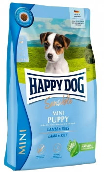 happy-dog9