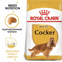 Корм для собак Royal Canin Cocker Adult (Роял канин для кокер-спаниеля, взрослые) Image 1