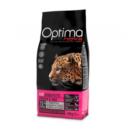 optima-nova-exquisite-cat.jpg