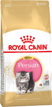 persiankitten
