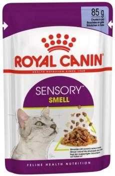 Влажный корм Royal Canin Sensory Smell для стимуляции рецепторов обоняния у кошек (желе)