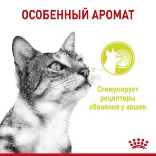 Влажный корм Royal Canin Sensory Smell для стимуляции рецепторов обоняния у кошек (соус) — изображение 3