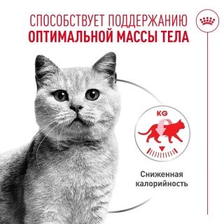 Влажный корм Royal Canin Light Weight Care AirLift для взрослых кошек с лишним весом (мусс) — изображение 3