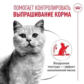 Влажный корм Royal Canin Appetite Control Care AirLift для контроля выпрашивания корма у кошек (мусс) — изображение 3