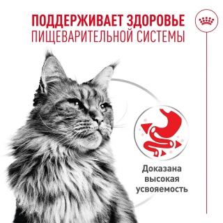 Влажный корм Royal Canin Digestive Care AirLift для взрослых кошек для поддержания здоровья пищеварительной системы (мусс) — изображение 3