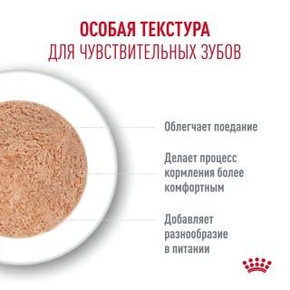 Влажный корм Royal Canin Ageing 11+ AirLift для кошек в возрасте старше 11 лет (мусс) — изображение 4