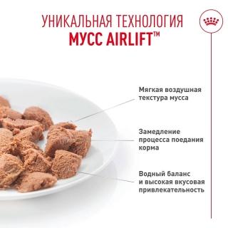 Влажный корм Royal Canin Digestive Care AirLift для взрослых кошек для поддержания здоровья пищеварительной системы (мусс) — изображение 4